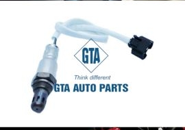 Cảm biến oxy số 1  C11