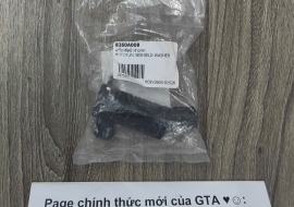 Mô tơ bơm nước rửa kính Triton 15-19