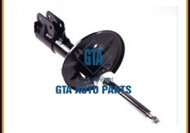 Giảm sóc trước RH Grandis 08