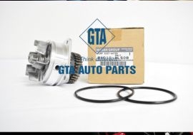 Bơm nước Murano Z51