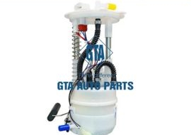 Bơm xăng Rouge S35 05-09