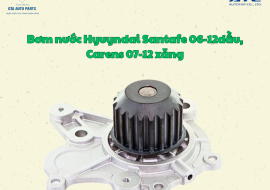 Bơm nước Hyuyndai Santafe 06-12dầu, Carens 07-12 xăng(AutoTop)