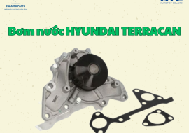 Bơm nước HYUNDAI TERRACAN(AutoTop)