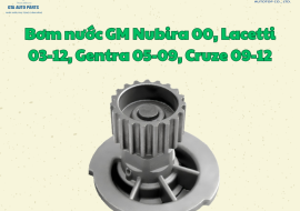 Bơm nước GM Nubira 00, Lacetti 03-12, Gentra 05-09, Cruze 09-12(AutoTop)